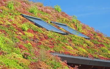 Levenhall living roof systems